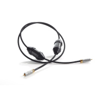 sigma_v2_spdif